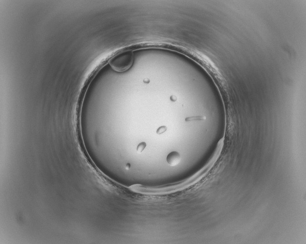 X0000116041183200912041805