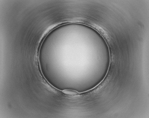 X0000116041184200912041805