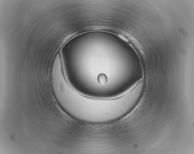 X0000116041185200912041805