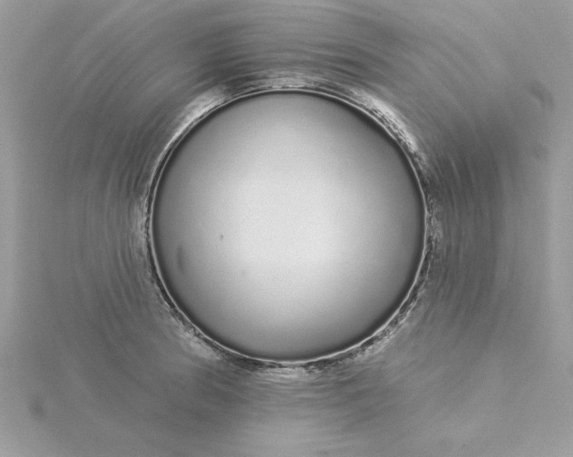 X0000116041186200912041805