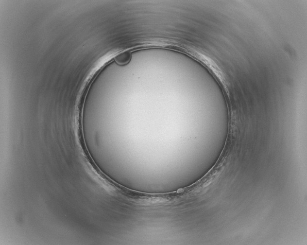 X0000116041187200912041805