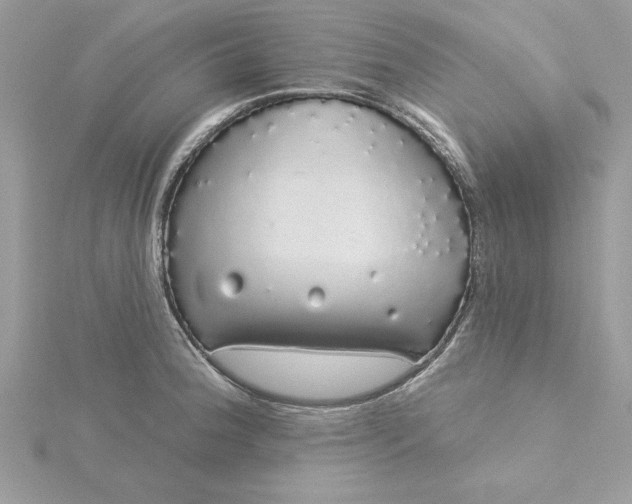 X0000116041188200912041805