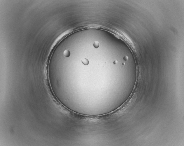 X0000116041190200912041805