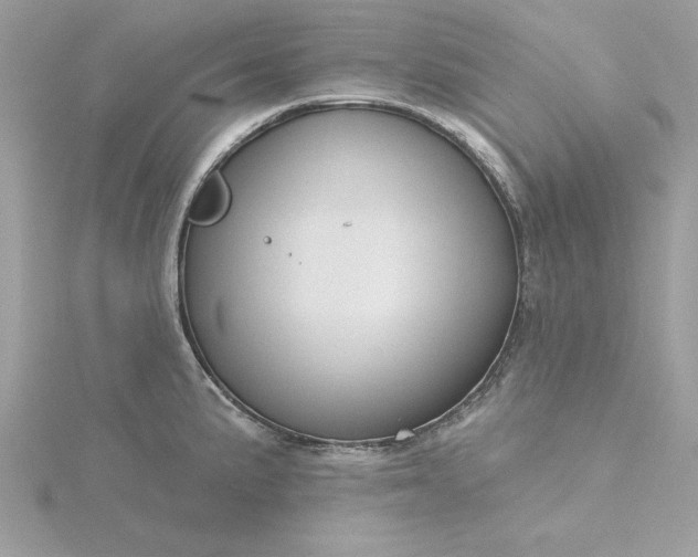 X0000116041191200912041805