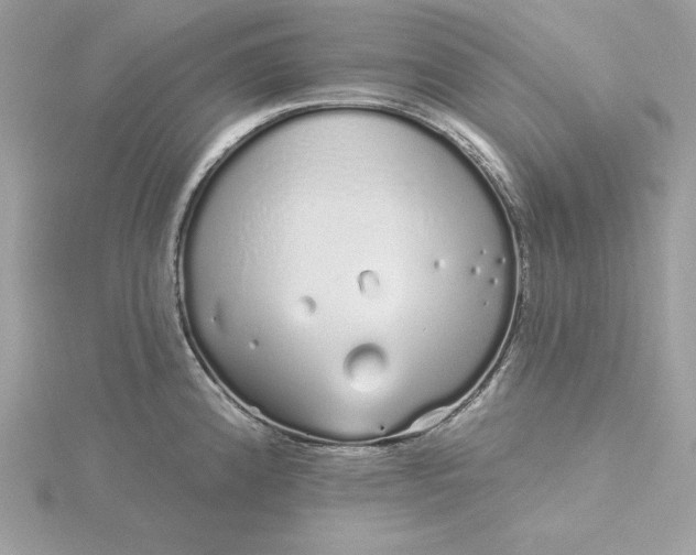 X0000116041192200912041805