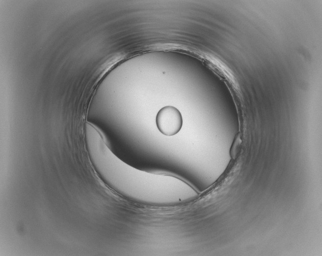 X0000116041193200912041805