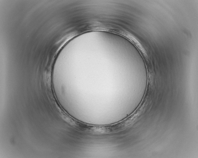 X0000116041194200912041805