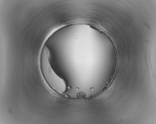 X0000116041195200912041805