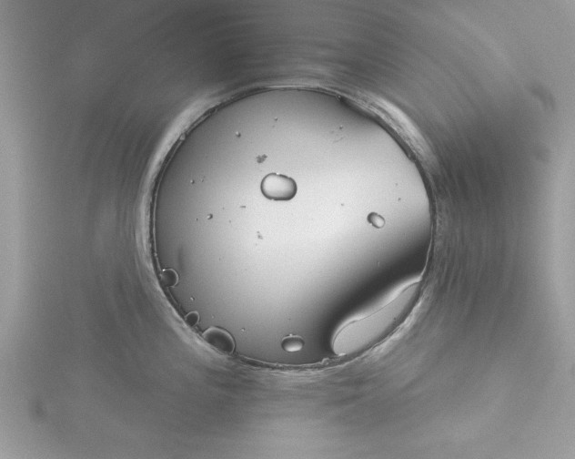 X0000116041196200912041805