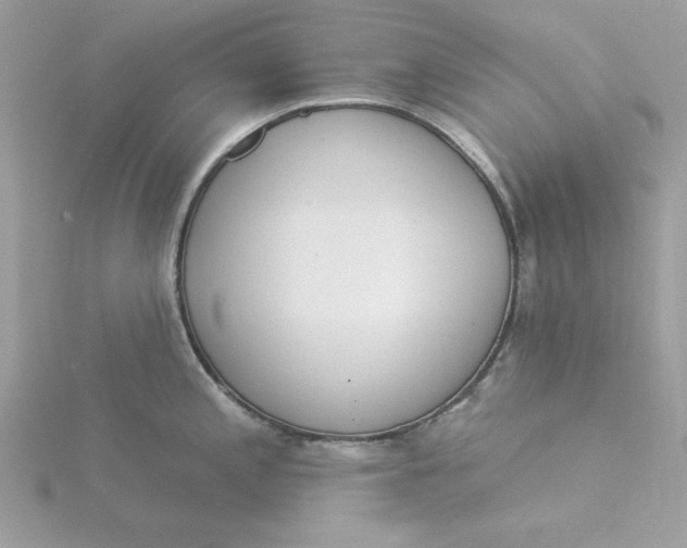 X0000116041197200912041805