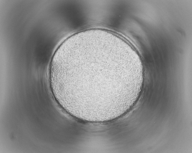 X0000116041198200912041805