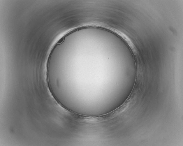 X0000116041199200912041805