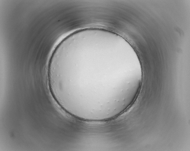 X0000116041200200912041805