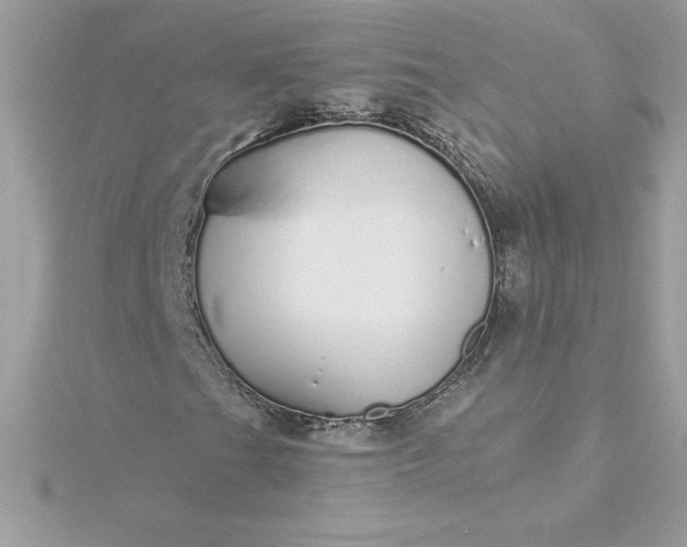 X0000116041201200912041804