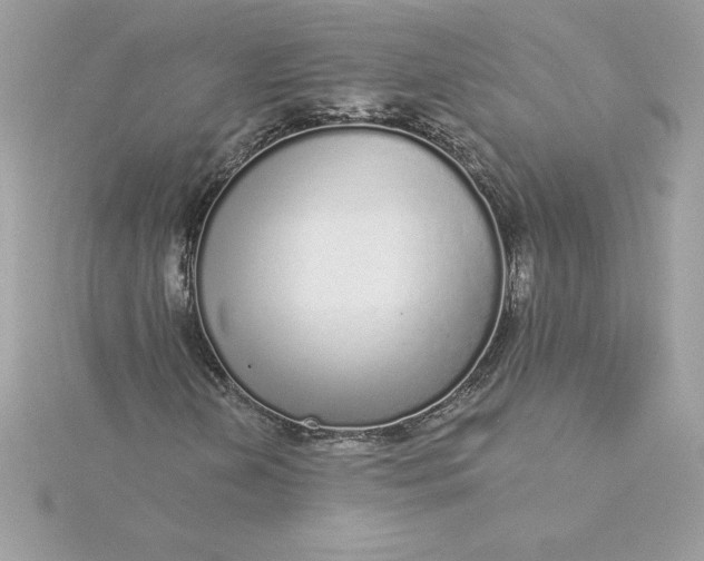 X0000116041202200912041804