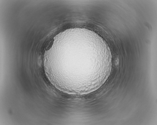 X0000116041204200912041804