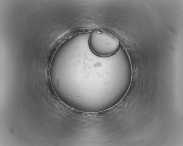 X0000116041205200912041804