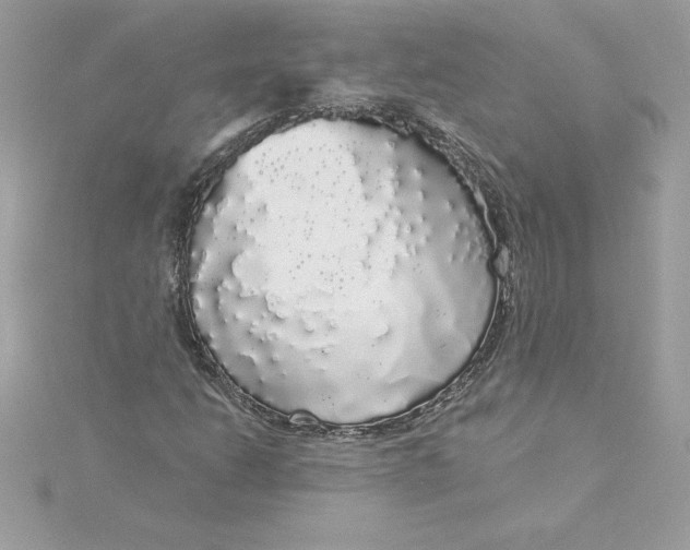 X0000116041206200912041804