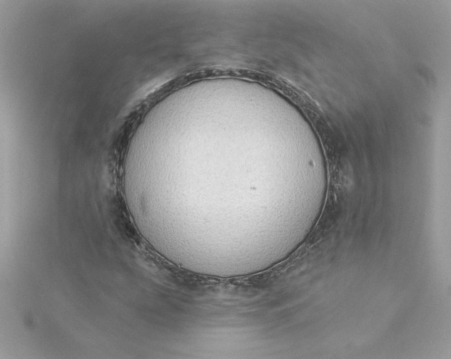 X0000116041207200912041804