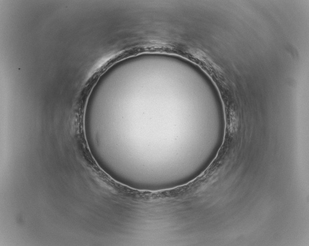 X0000116041208200912041804