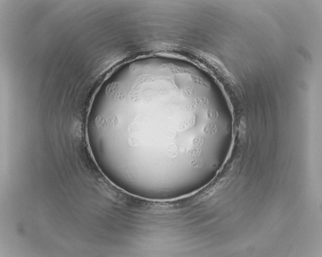 X0000116041209200912041804