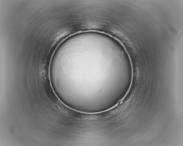 X0000116041210200912041804