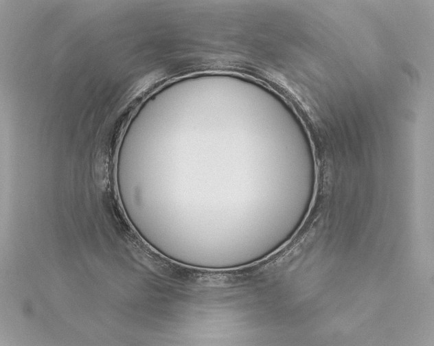 X0000116041211200912041804