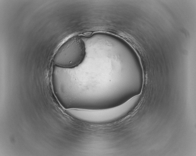 X0000116041212200912041804