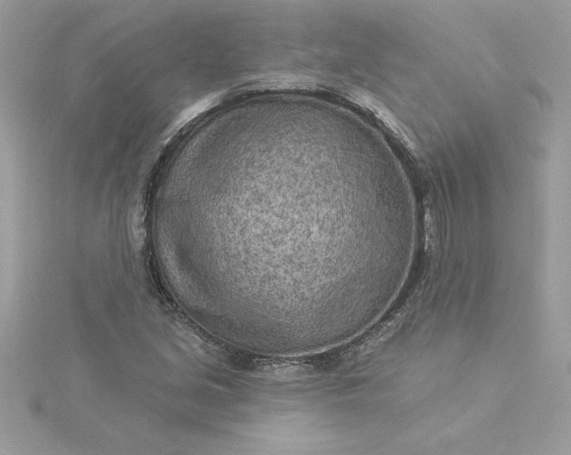 X0000116041213200912041804