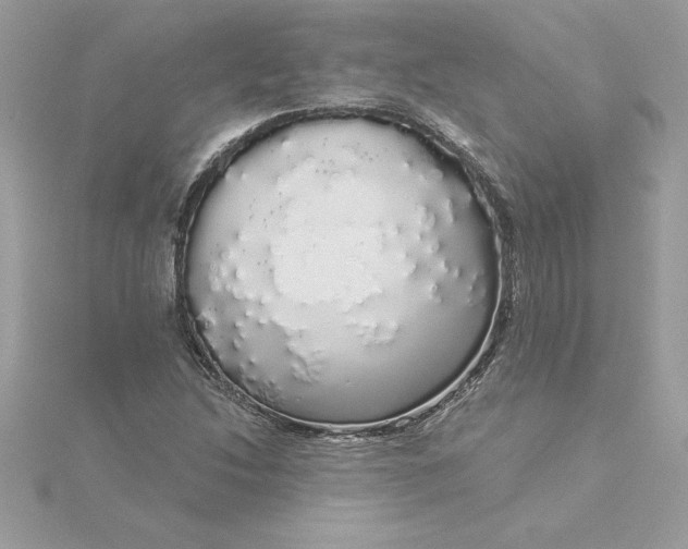 X0000116041214200912041804