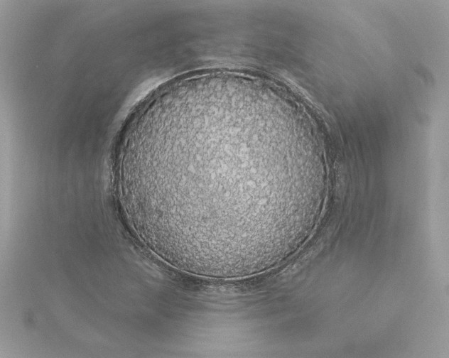 X0000116041215200912041805