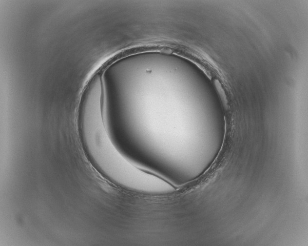 X0000116041216200912041805