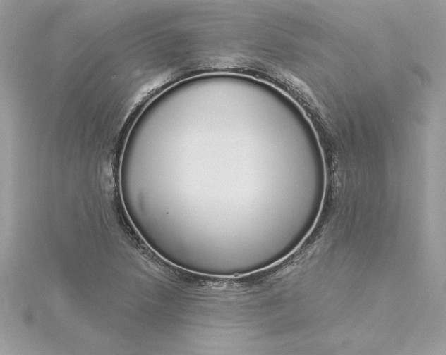 X0000116041218200912041805