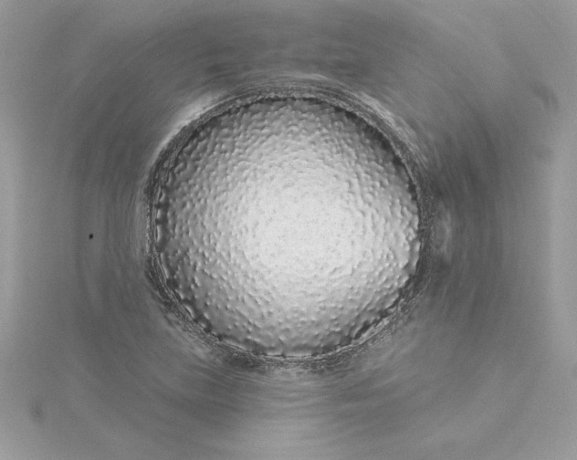 X0000116041219200912041805