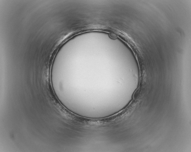 X0000116041220200912041805