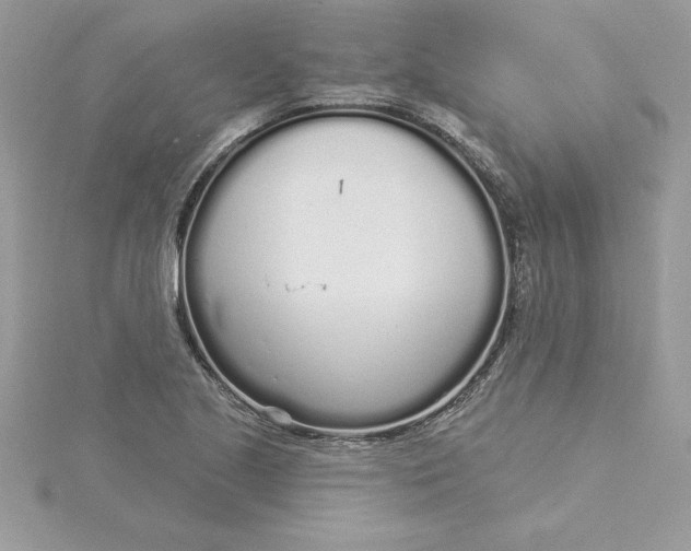 X0000116041221200912041805