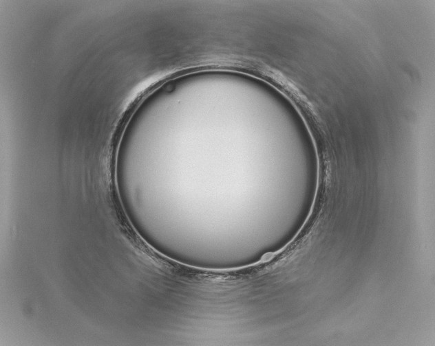 X0000116041222200912041805