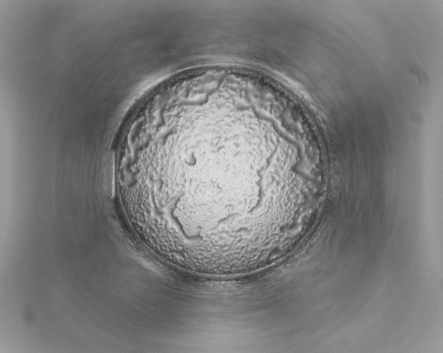 X0000116041223200912041805