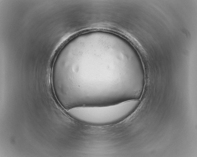 X0000116041224200912041805