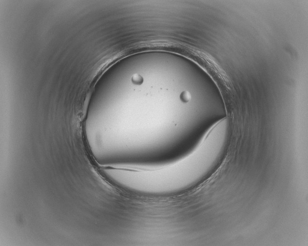 X0000116041225200912041805