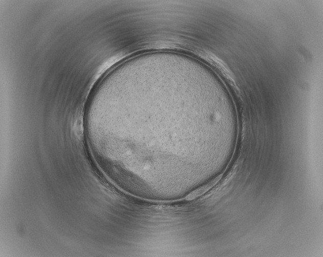 X0000116041226200912041805