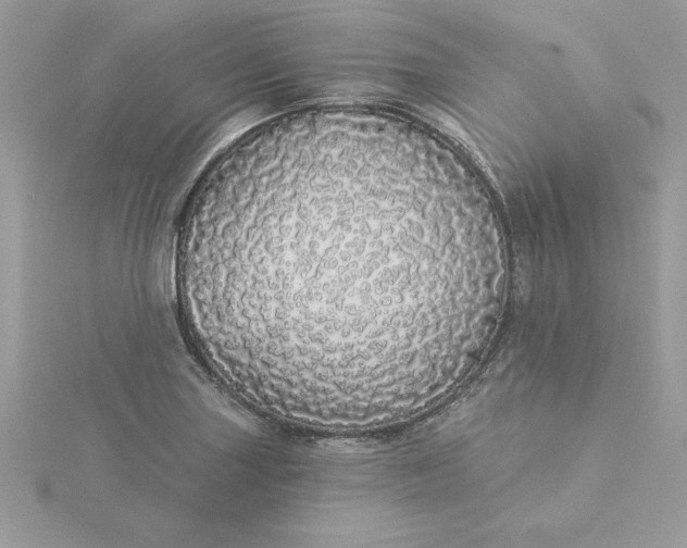 X0000116041227200912041805