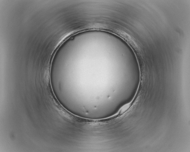 X0000116041228200912041805