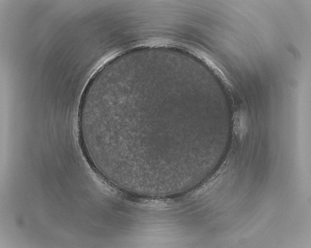 X0000116041229200912041805