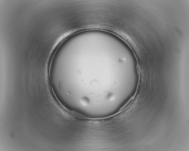 X0000116041230200912041805