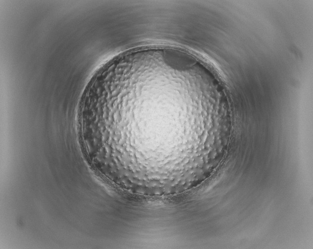 X0000116041231200912041805