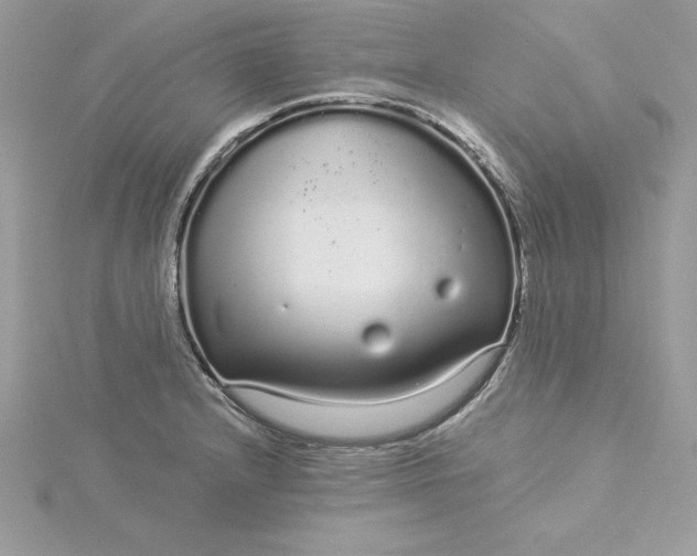 X0000116041232200912041805