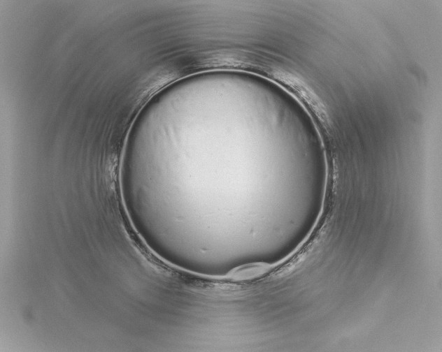 X0000116041233200912041805