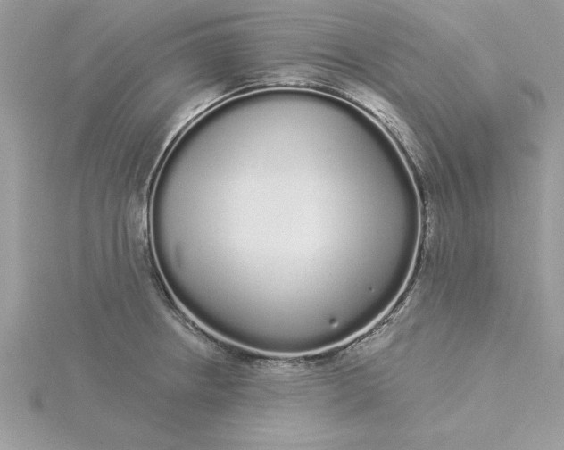 X0000116041234200912041805