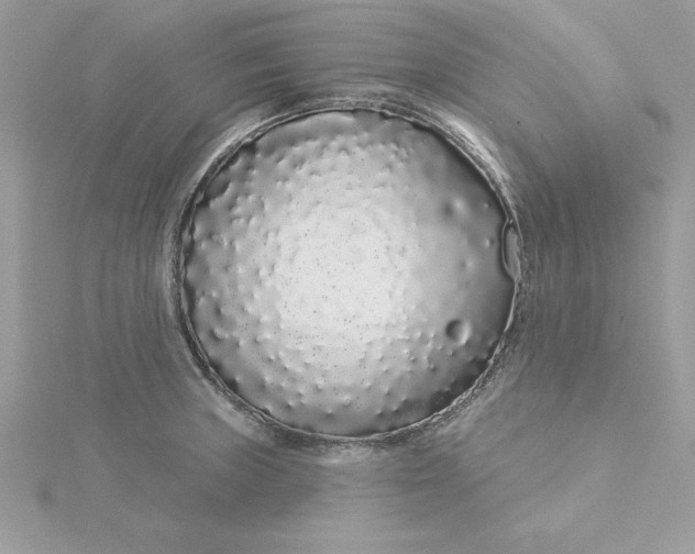 X0000116041235200912041805